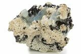 Lustrous Aquamarine and Schorl Crystals on Feldspar - Namibia #337066-1